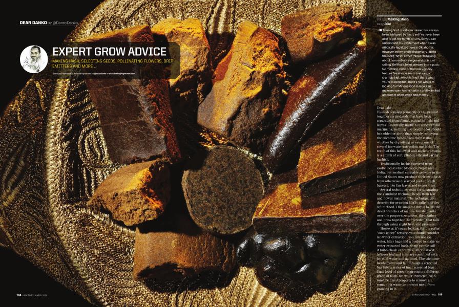 EXPERT GROW ADVICE