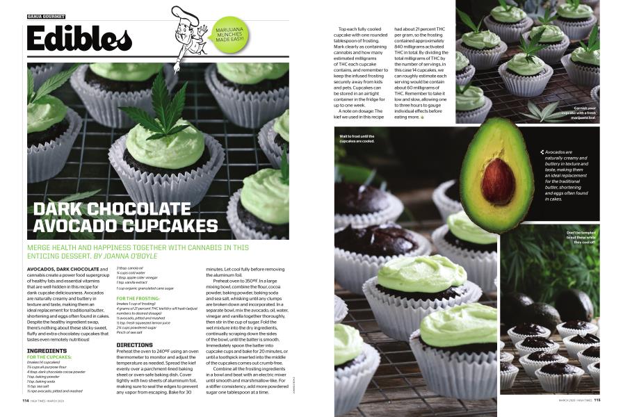 DARK CHOCOLATE AVOCADO CUPCAKES