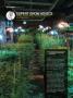 Page: - 104 | High Times