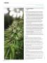 Page: - 108 | High Times