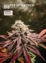 Page: - 120 | High Times