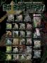 Page: - 2 | High Times