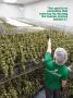 Page: - 38 | High Times