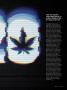 Page: - 77 | High Times