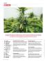 Page: - 8 | High Times