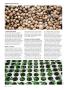 Page: - 90 | High Times