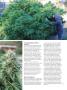 Page: - 92 | High Times