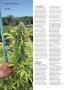 Page: - 96 | High Times