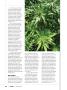Page: - 110 | High Times