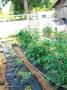 Page: - 20 | High Times