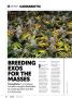 Page: - 38 | High Times
