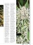 Page: - 39 | High Times