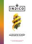Page: - 16 | High Times