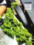 Page: - 21 | High Times