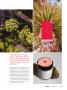 Page: - 39 | High Times