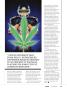 Page: - 43 | High Times