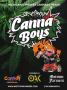Page: - 47 | High Times