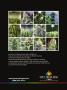 Page: - 5 | High Times