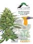 Page: - 9 | High Times