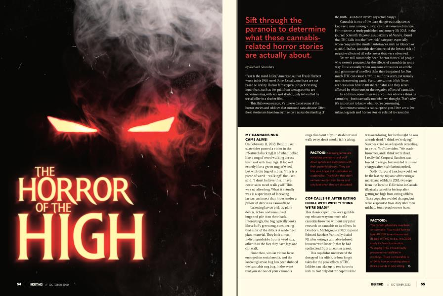 THE HORROR OF THE HIGH