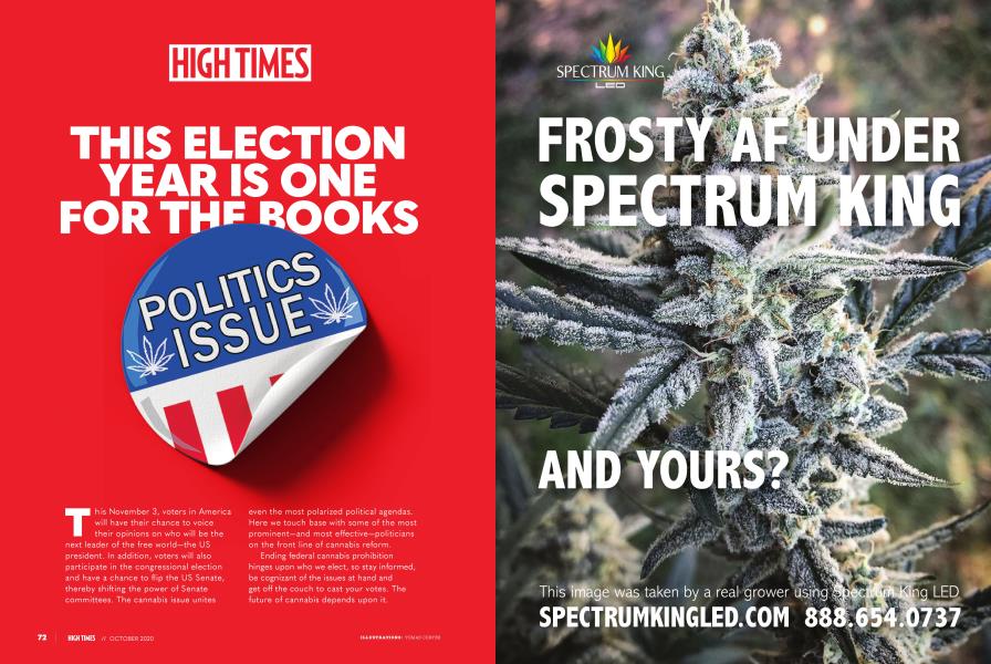 THIS ELECTION YEAR IS ONE FOR THE BOOKS