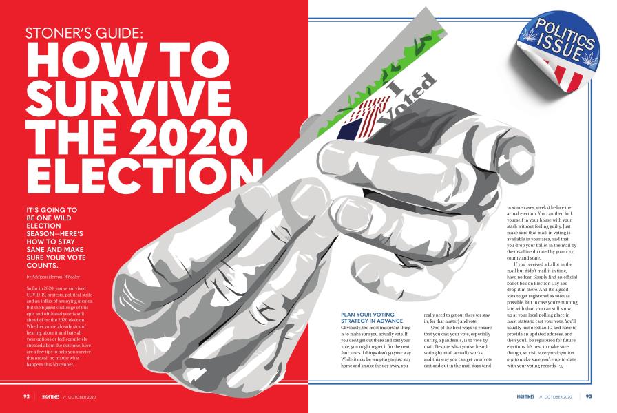 STONER'S GUIDE: HOW TO SURVIVE THE 2020 ELECTION