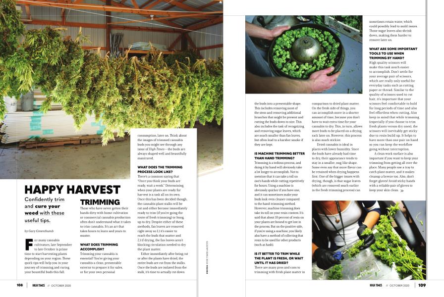 HAPPY HARVEST