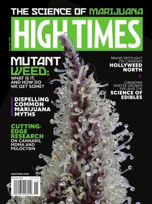 November 2020 | High Times
