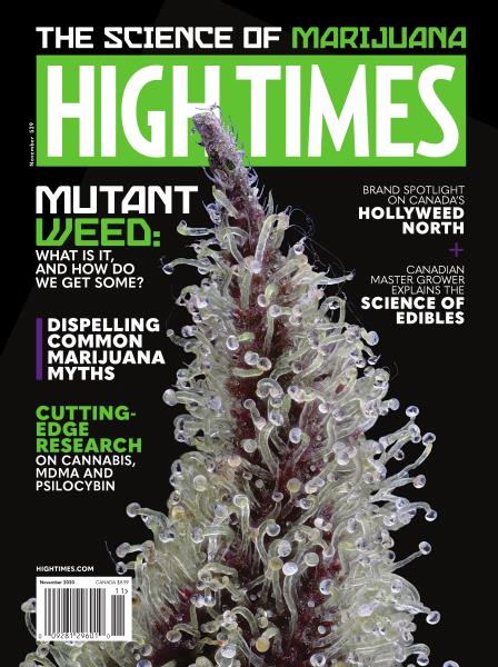 New Best of High Times #18 5 Easy Steps to Get Growing Now 2018 Collectors Ed 