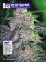 Page: - 120 | High Times