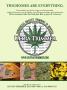 Page: - 17 | High Times