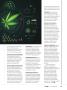 Page: - 43 | High Times