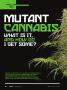 Page: - 58 | High Times
