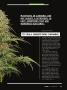 Page: - 59 | High Times