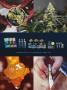 Page: - 7 | High Times