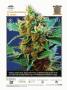 Page: - 9 | High Times