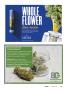 Page: - 95 | High Times