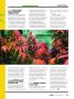 Page: - 97 | High Times