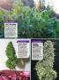 Page: - 124 | High Times