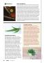 Page: - 28 | High Times