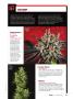 Page: - 57 | High Times