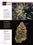 Page: - 58 | High Times