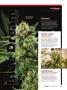 Page: - 59 | High Times