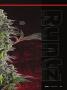 Page: - 63 | High Times