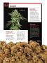 Page: - 72 | High Times