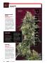 Page: - 74 | High Times