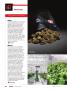 Page: - 90 | High Times