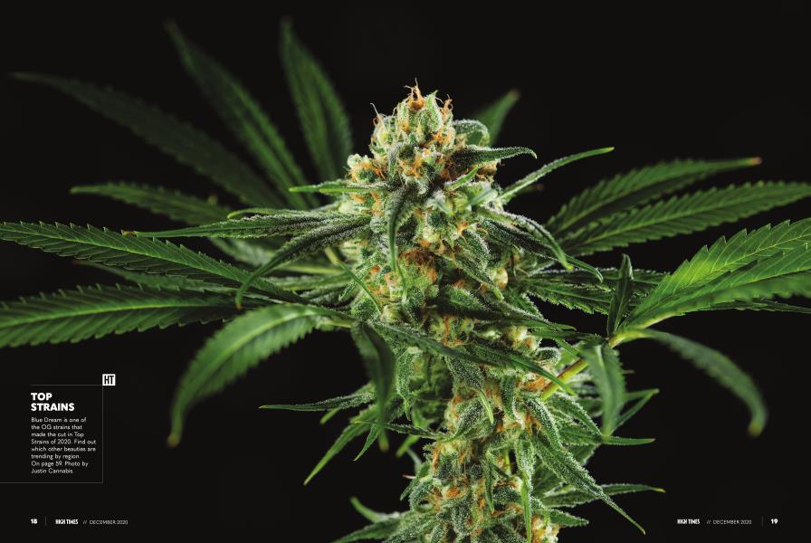 TOP STRAINS High Times December 2020