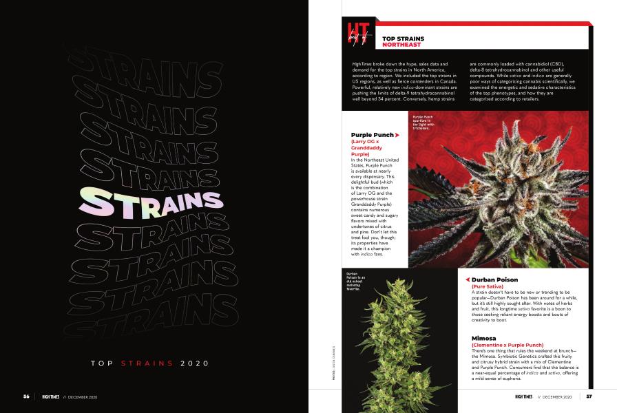 TOP STRAINS 2020