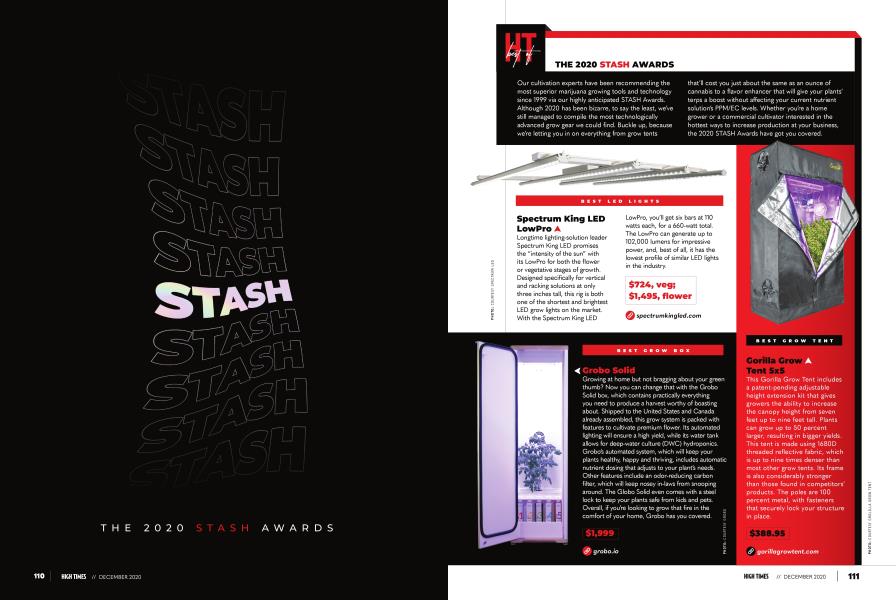 THE 2020 STASH AWARDS